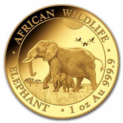 Goldmünze Somalia Elefant 1 Unze 2022